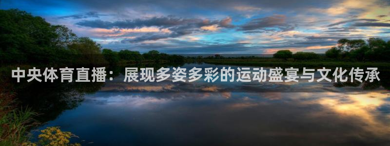 山猫篮球体育直播