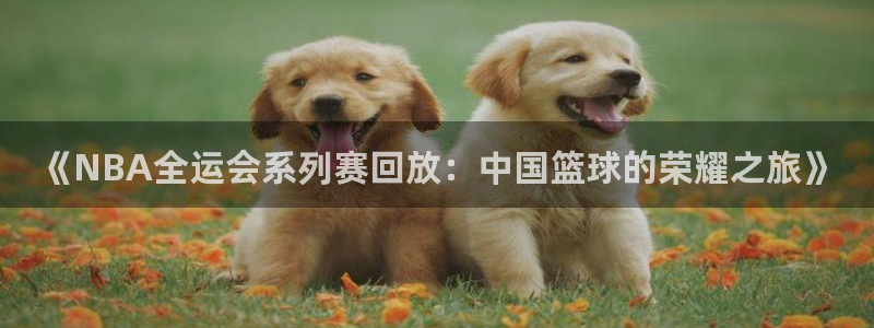 山猫体育nba直播吧