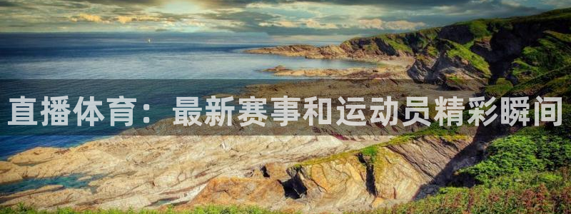 体育新闻