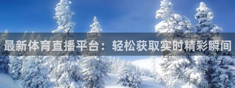 体育新闻