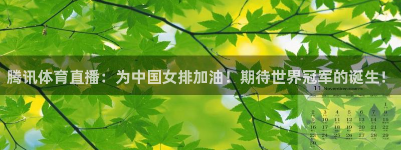 体育新闻