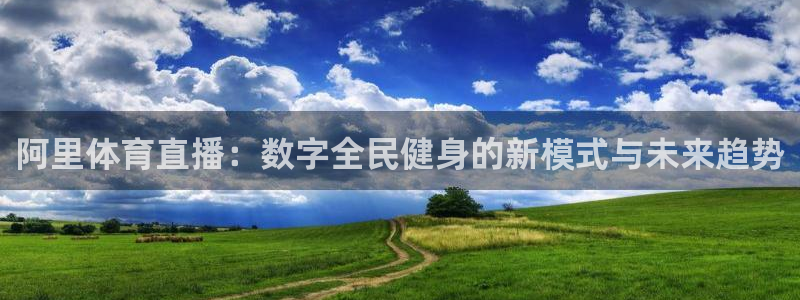 山猫直播体育篮球