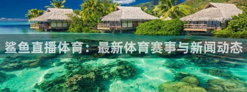 体育新闻