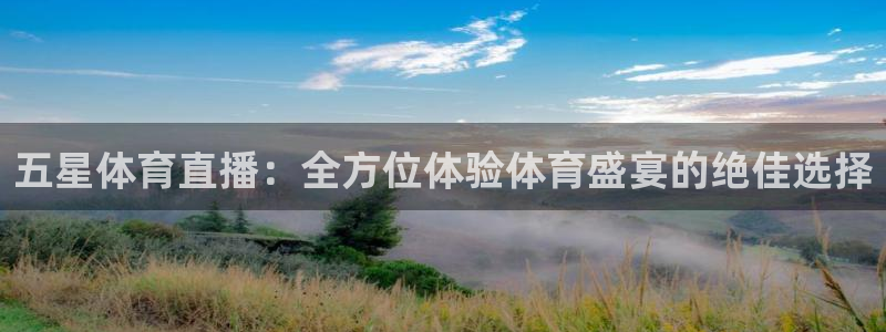 山猫直播体育在线观看