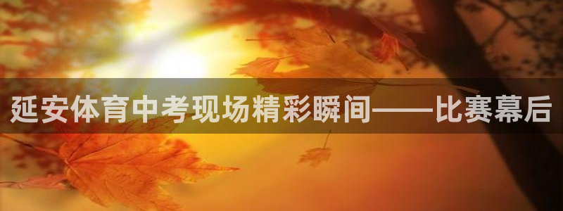 山猫体育足球免费观看