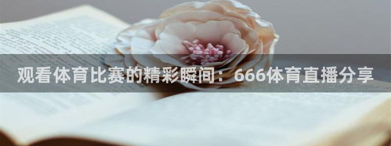 体育新闻